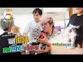 จับโคขุนไปเจอ แมว (วันขุนขุนEp.2)