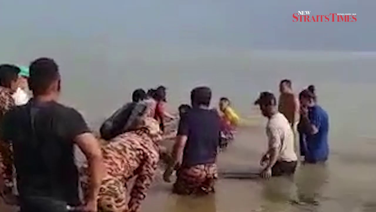 Whale found stranded on Miri beach