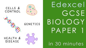 All of Edexcel BIOLOGY Paper 1 in 30 minutes - GCSE Science Revision