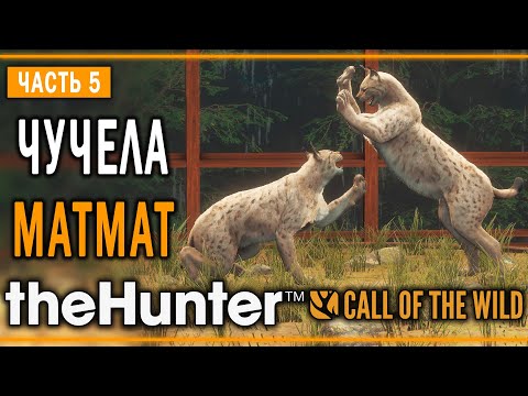 Видео: theHunter Call of the Wild #5 🐱 - Шуточный Бой - Кoмпозиции из Чучeл