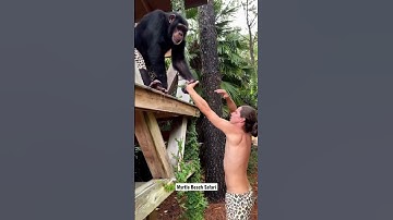 Exploring with Sugriva the Chimp ☀️🐵