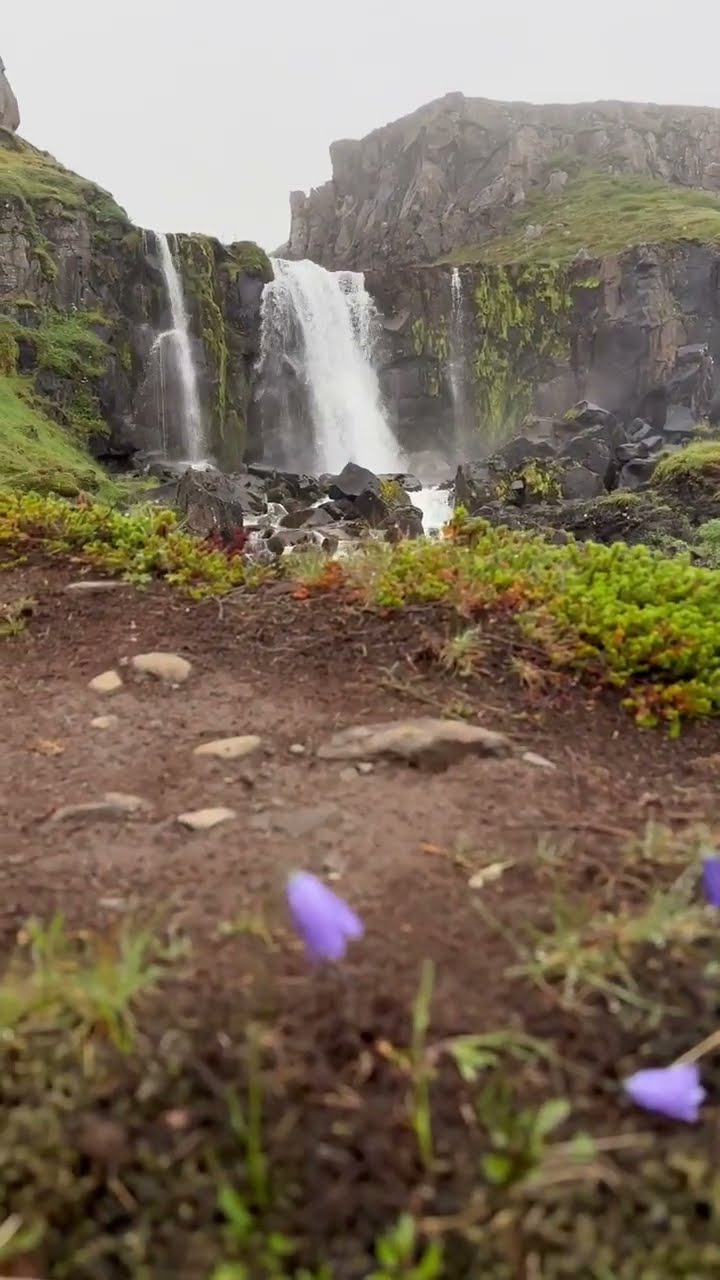 Vestdalsfossar - #iceland -  Beautiful waterfall through rugged terrain, magical misty clouds — Vestdalsfossar, Iceland — video poster