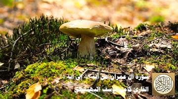 كامل يوسف البهتيمي - سورة آل عمران من آية 46 إلى آية 74