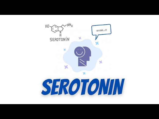 Serotonin: what is it & How does it works? class=