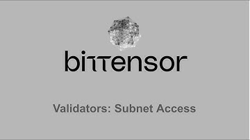 Bittensor Subnet access via Validators