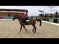 конный клуб Галактика🔥🔥🔥Спортивные моменты из жизни клуба🤠🐎