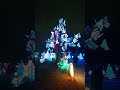 Butterfly lights