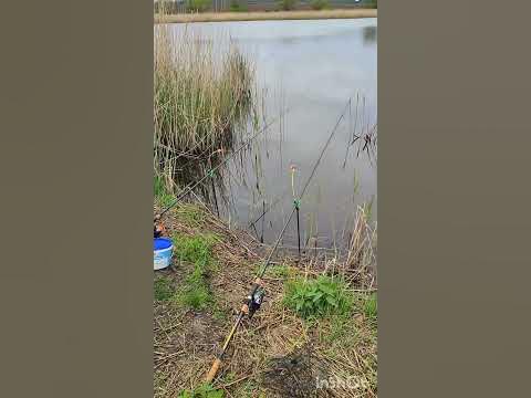 Карасямба. - YouTube