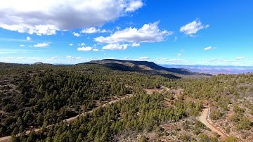PINE TREE FANTASY FLIGHT