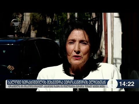 სალომე ზურაბიშვილი ევროკავშირის ელჩებს შეხვდა