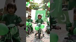 🇵🇰 Family Vlog | Independence Day 2025 Celebration | 14 August Special 🎉✨