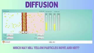 The Amazing World of Diffusion: A Science Adventure for Kids