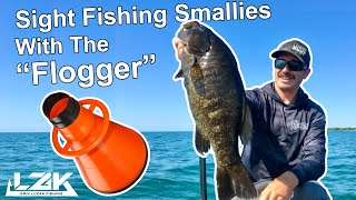Nearly 26lbs of Lake Ontario Smallmouth Bass while using a Flogger