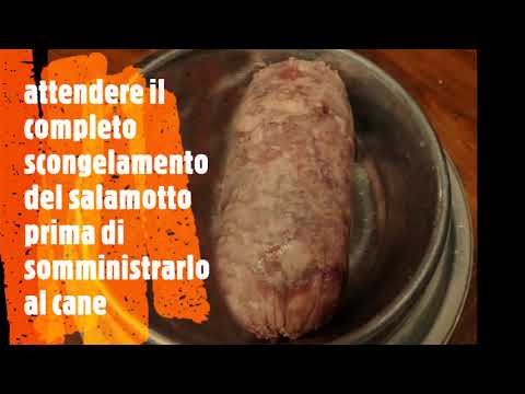 Video: Conservazione E Preparazione Del Cibo Crudo Per Cani - Misure Di Sicurezza Per Alimenti Crudi Per Animali Domestici