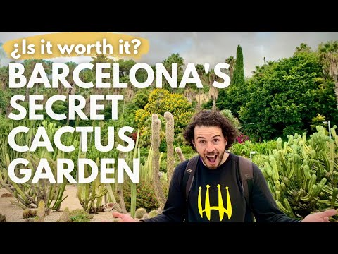 Barcelona's Secret Cactus Garden Mossn Costa i Llobera Gardens Montjic by Patrick Guide Barcelona