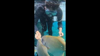 Raja Ampat is [STILL] Wonderland