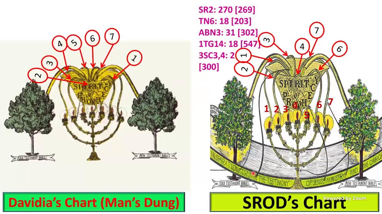 Western Hemisphere Sabbath Afternoon Study
