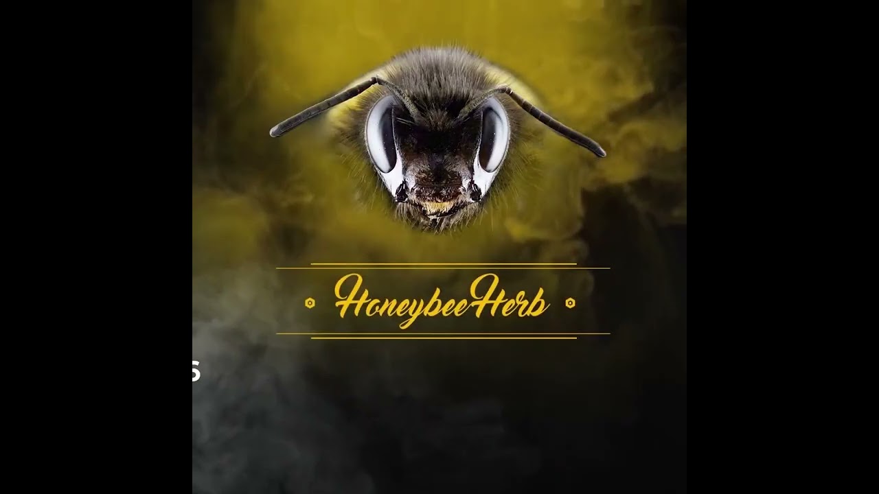 Original Bevel Quartz Banger Meltshots 