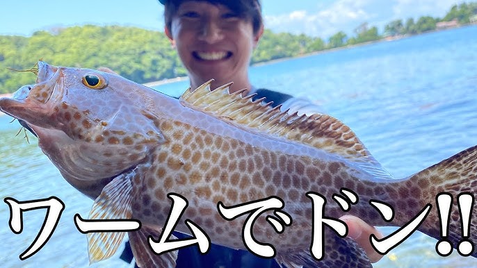根魚 岸からワーム投げて落とすだけでドンッ Youtube