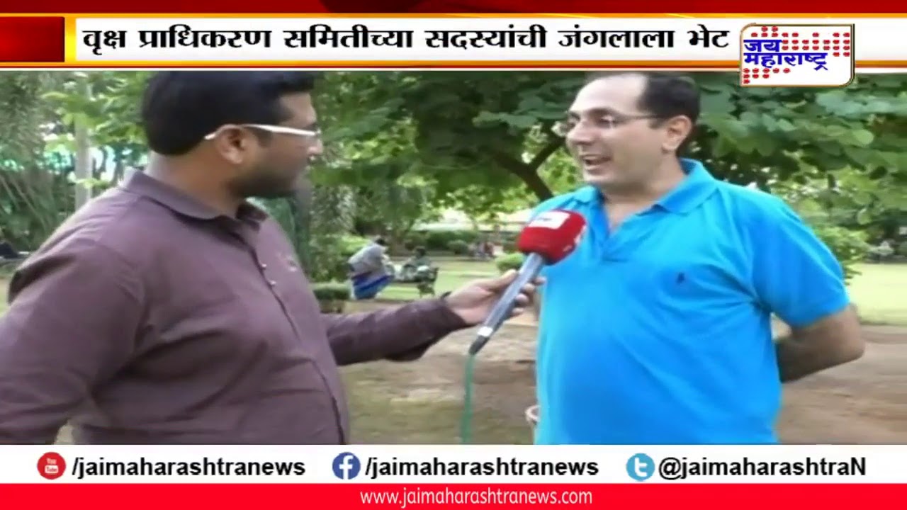 maharashtra news abp मेट्रो कारशेडसाठी आरे मध्ये होणारी वृक्षतोड तुर्तास टळली