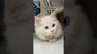 My Balance Was 123,456.78