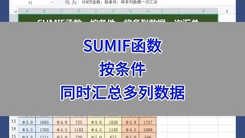 SUMIF函数：按条件同时汇总多列数据。#excel #wps #办公技巧