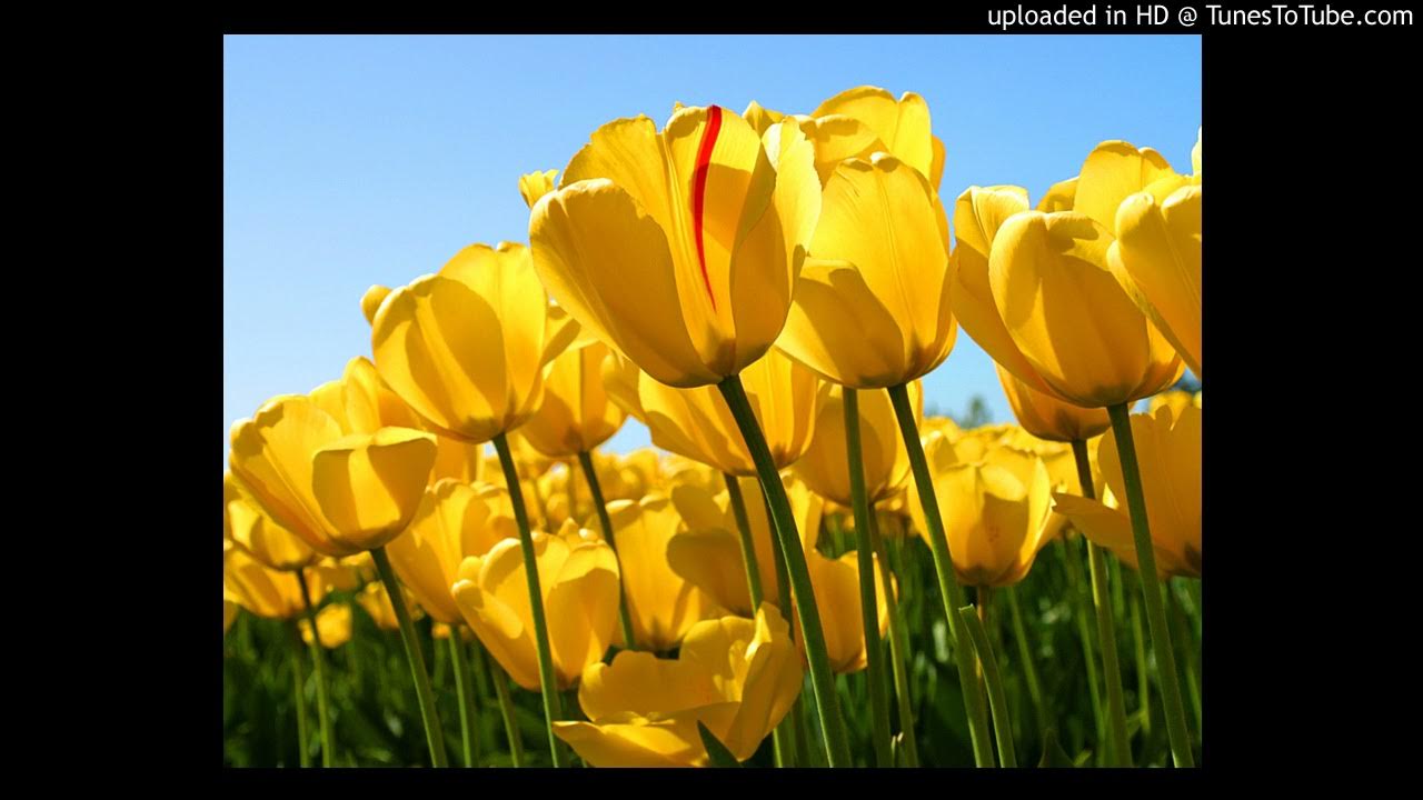 Alice Deejay Featuring DJ Jurgen Better Off Alone Vocal Clubmix YouTube