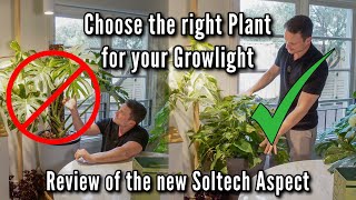 The perfect Spotlight for your Plants - review of the new Soltech Aspect Gen 2