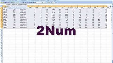 Running XLSTATS and using 2Num