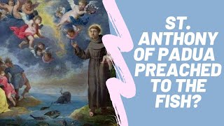 💥 SAINT ANTHONY OF PADUA, PREACHING TO THE FISH