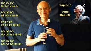 NAPULE E' - Pino Daniele chords