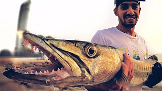 صيد السمك كاستنج جدة السعودية لفاح البحر الاحمر - Fishing jeddah casting  red sea ksa