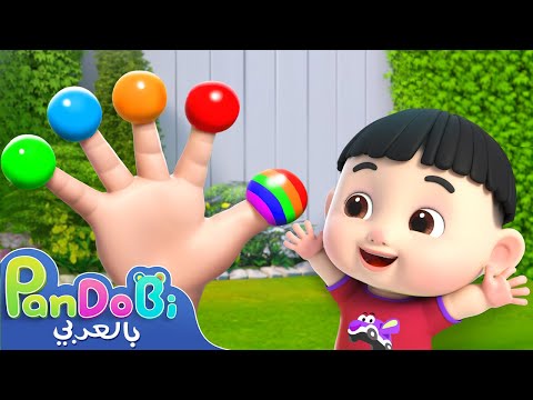 أغنية عائلة الأصابع اغاني اطفال اناشيد اطفال باندوبي Finger Family Pandobi Arabic