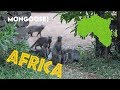 TOP DECK TRAVEL AFRICAN INSIGHT DAY 5