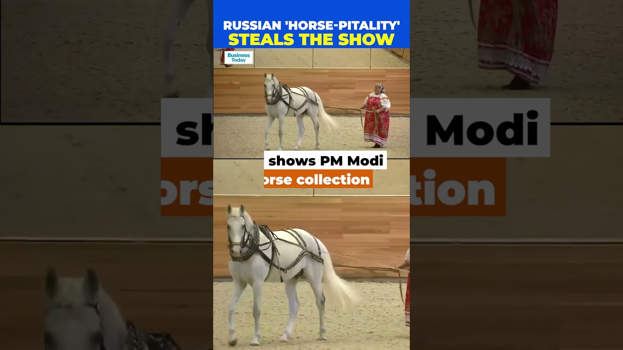 Prime Minister Modi & Russian President Putin Watch Horse Show At Putin's Residence