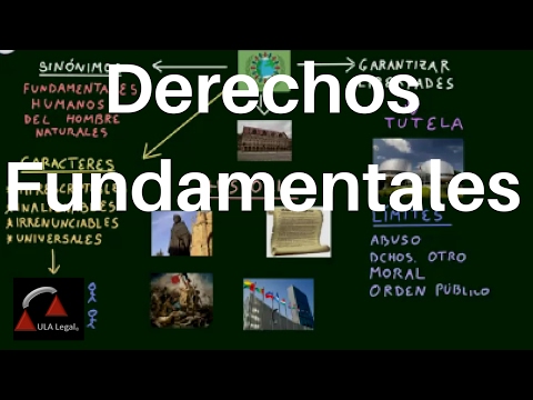 Video: ¿Qué artículo se refiere a los derechos fundamentales?