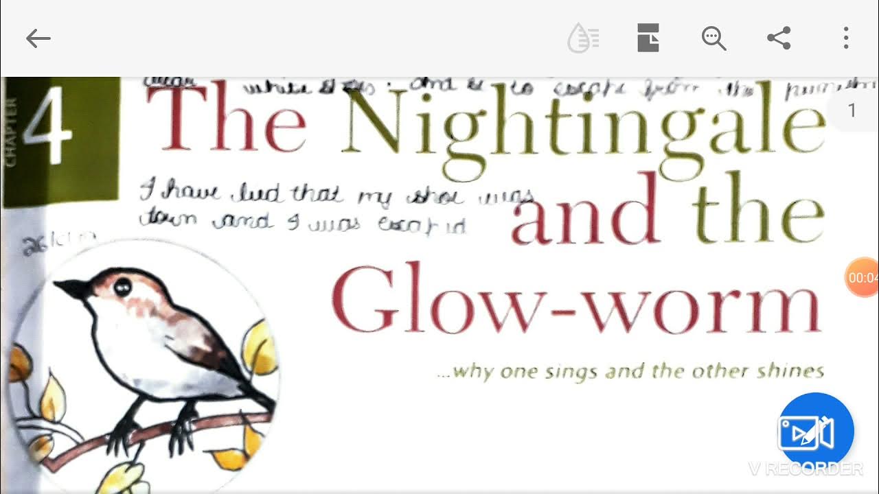 Class 8 New images English ch 4 The Nightingale and the glow worm