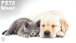 Healing Music For Stressed Dog & Cat! Music That Give COMFORT To Pet |Anxiety Relief, Deep Sleep by Peaceful Pet Piano No views 8 hours