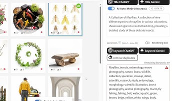 Easy Keyword For Adobe Stock(Chrome Extension)