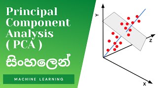Principal Component Analysis (PCA) in Programming | Sinhala