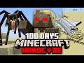 I survived 100 Days in a DESERTED WASTELAND in Minecraft and Here