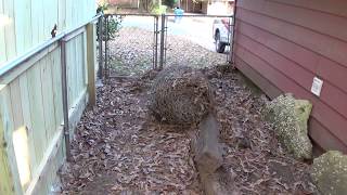 CHAIN LINK FENCE TO WOOD FENCE