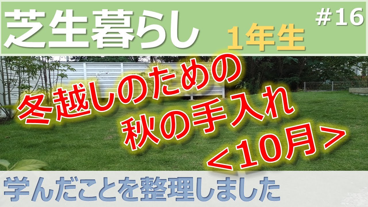 日常 芝生暮らし 秋の手入れ まとめました How To Care For The Lawn In Autumn In Japan Youtube