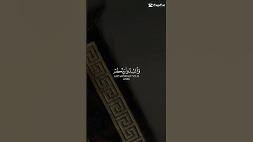 تلاوة هادئة، قرآن كريم 🖤 #القرآن_الكريم