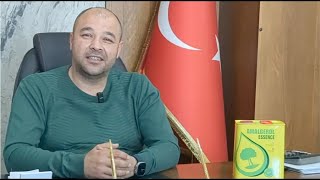 Download Lagu AMALGEROL Voices: Turning Frost Into Fruit - How One Turkish Farmer Reversed the Cold’s Damage MP3