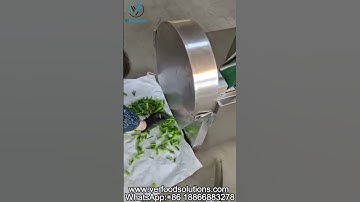 CHD 20 Mini Vegetable Cutting Machine Garlic Moss Cutting