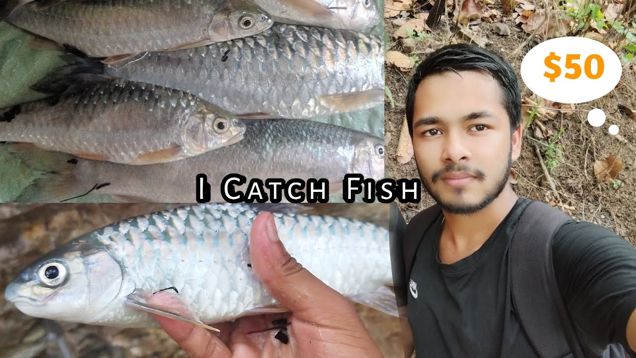 I Fishing In The Village River!! 🐟🐠 | Fishing in Nepal| - YouTube