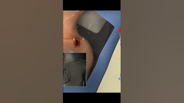 How to Make a 3D Animation in Blender (Video Treatment)