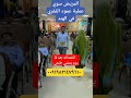 المريض سوي عملية عمود الفقري في الهند علاج عمودالفقري