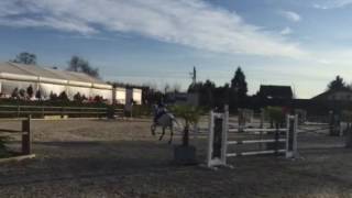 20170325 GL Diepenbeek Moonfighter 1m20